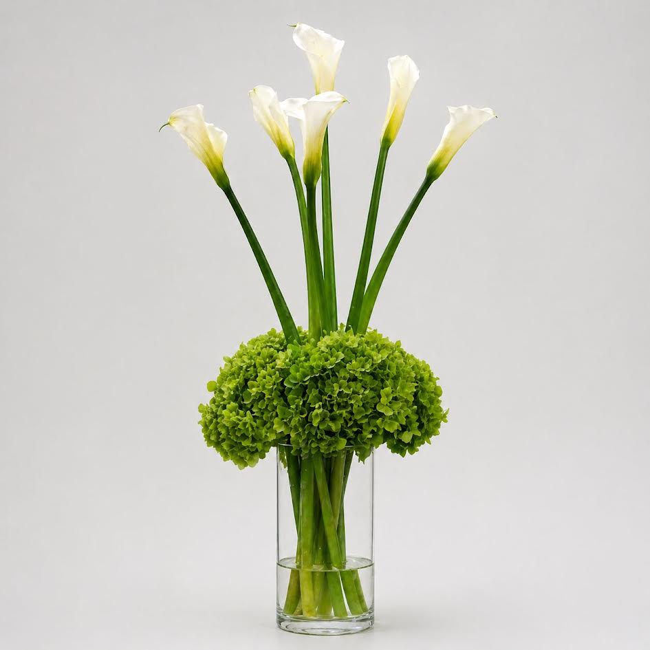 Lily of Grace